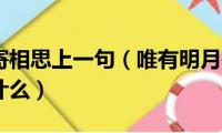 唯有明月寄相思上一句（唯有明月寄相思的前面一句是什么）