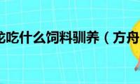 方舟羽暴龙吃什么饲料驯养（方舟羽暴龙怎么驯养）