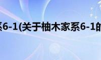 柚木家系6-1(关于柚木家系6-1的简介)