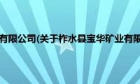 柞水县宝华矿业有限公司(关于柞水县宝华矿业有限公司的简介)