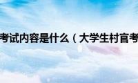 大学生村官考试内容是什么（大学生村官考试内容）