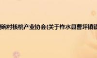 柞水县曹坪镇镇银碗村核桃产业协会(关于柞水县曹坪镇镇银碗村核桃产业协会的简介)