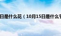 10月15日是什么花（10月15日是什么节日）