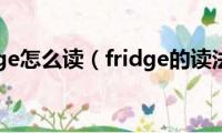 fridge怎么读（fridge的读法）