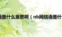 nb网络用语是什么意思啊（nb网络语是什么意思）