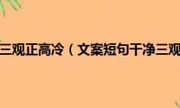 文案短句干净三观正高冷（文案短句干净三观正高冷的经典句子）