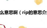 rip什么意思啊（rip的意思介绍）