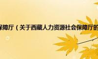 西藏人力资源社会保障厅（关于西藏人力资源社会保障厅的基本详情介绍）