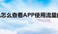 苹果手机怎么查看APP使用流量的方法