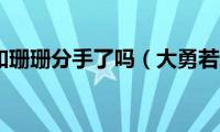 大勇和珊珊分手了吗（大勇若怯）