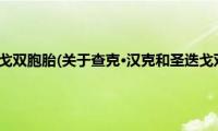 查克·汉克和圣迭戈双胞胎(关于查克·汉克和圣迭戈双胞胎的简介)