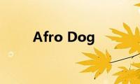 Afro(Dog)