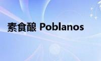 素食酿(Poblanos)