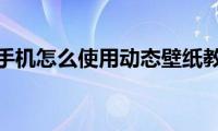 苹果手机怎么使用动态壁纸教程