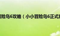 小小冒险岛6攻略（小小冒险岛6正式版）