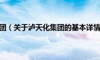 泸天化集团（关于泸天化集团的基本详情介绍）