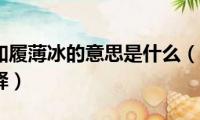 战战兢兢如履薄冰的意思是什么（战战兢兢如履薄冰解释）