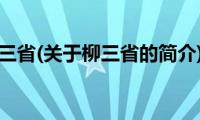 柳三省(关于柳三省的简介)