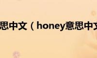 honey意思中文（honey意思中文翻译）