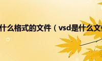 vsd是什么格式的文件（vsd是什么文件）