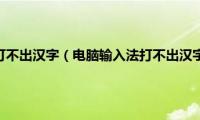 输入法为什么打不出汉字（电脑输入法打不出汉字如何解决）