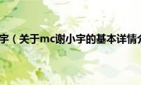 mc谢小宇（关于mc谢小宇的基本详情介绍）