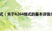 h264格式（关于h264格式的基本详情介绍）