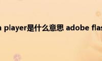 adobe（flash(player是什么意思 adobe flash player可以卸载吗）)