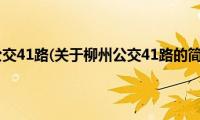 柳州公交41路(关于柳州公交41路的简介)