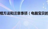 电脑宝贝的养殖方法和注意事项（电脑宝贝的养殖方法和注意事项介绍）