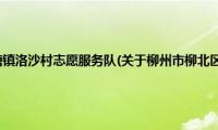 柳州市柳北区沙塘镇洛沙村志愿服务队(关于柳州市柳北区沙塘镇洛沙村志愿服务队的简介)