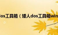 矮人工作室dos工具箱（矮人dos工具箱win7怎么用）