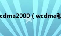 wcdma和cdma2000（wcdma和cdma）