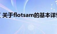 flotsam（关于flotsam的基本详情介绍）