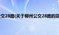 柳州公交28路(关于柳州公交28路的简介)