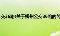 柳州公交36路(关于柳州公交36路的简介)