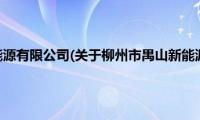 柳州市禺山新能源有限公司(关于柳州市禺山新能源有限公司的简介)