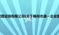 柳州市道一企业管理咨询有限公司(关于柳州市道一企业管理咨询有限公司的简介)