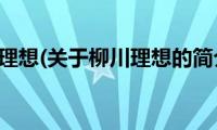 柳川理想(关于柳川理想的简介)