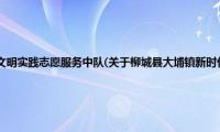 柳城县大埔镇新时代文明实践志愿服务中队(关于柳城县大埔镇新时代文明实践志愿服务中队的简介)