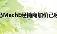 福特野马MachE经销商加价已经失控