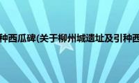 柳州城遗址及引种西瓜碑(关于柳州城遗址及引种西瓜碑的简介)