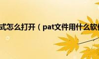 pat文件格式怎么打开（pat文件用什么软件打开）