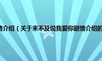 来不及说我爱你剧情介绍（关于来不及说我爱你剧情介绍的基本详情介绍）