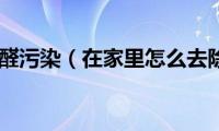 如何去除甲醛污染（在家里怎么去除甲醛呢）