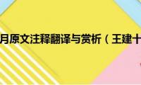 王建十五夜望月原文注释翻译与赏析（王建十五夜望月古诗介绍）