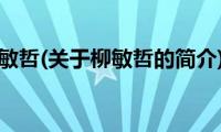 柳敏哲(关于柳敏哲的简介)