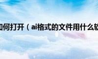 ai格式文件如何打开（ai格式的文件用什么软件打开）