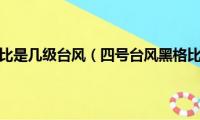 四号台风黑格比是几级台风（四号台风黑格比最大风力是多少级）