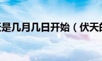 2021伏天是几月几日开始（伏天的时候天气热吗）